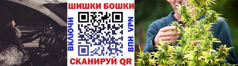 Бошки марихуана сатива  Шадринск 